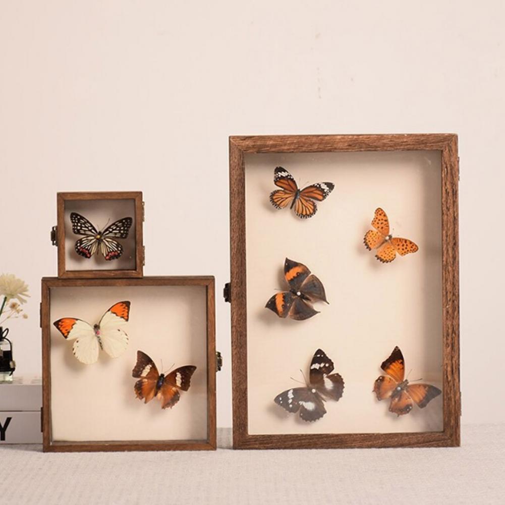 Insect Hotel Wood - علبة عرض خشبية صندوق ظلال الفراشة