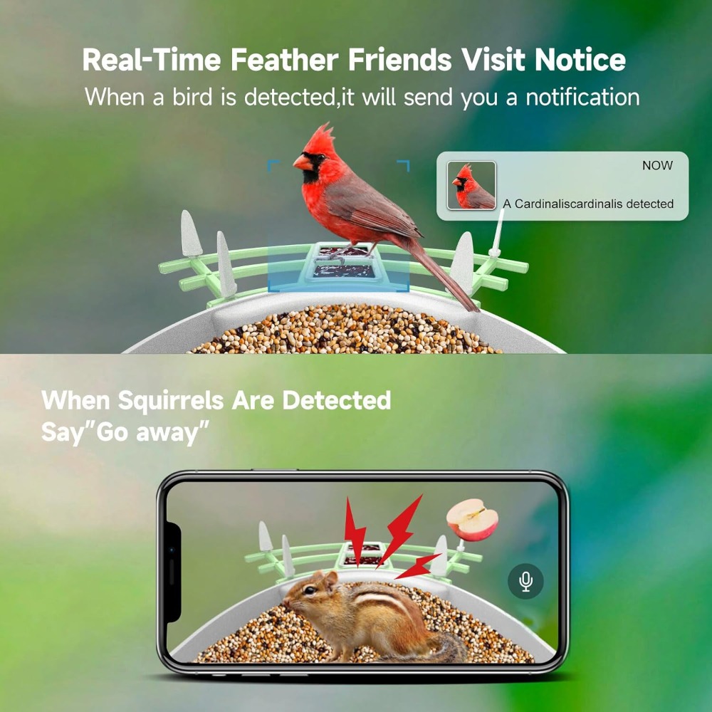وحدة تغذية الطيور الذكية التي  - مراجعة Smart Bird Feeder Camera وسعره