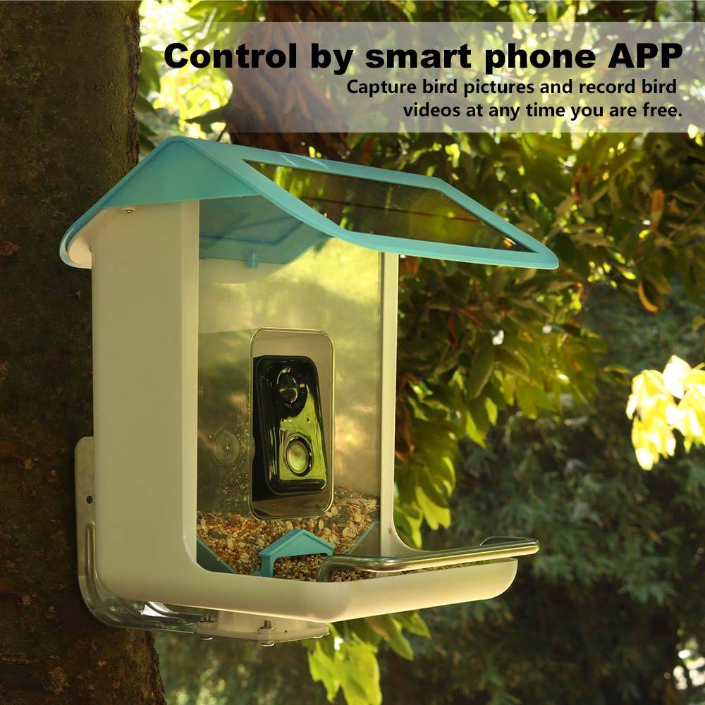 كاميرا واي فاي خارجية للحياة ا - مراجعة Smart Bird Feeder Camera وسعره
