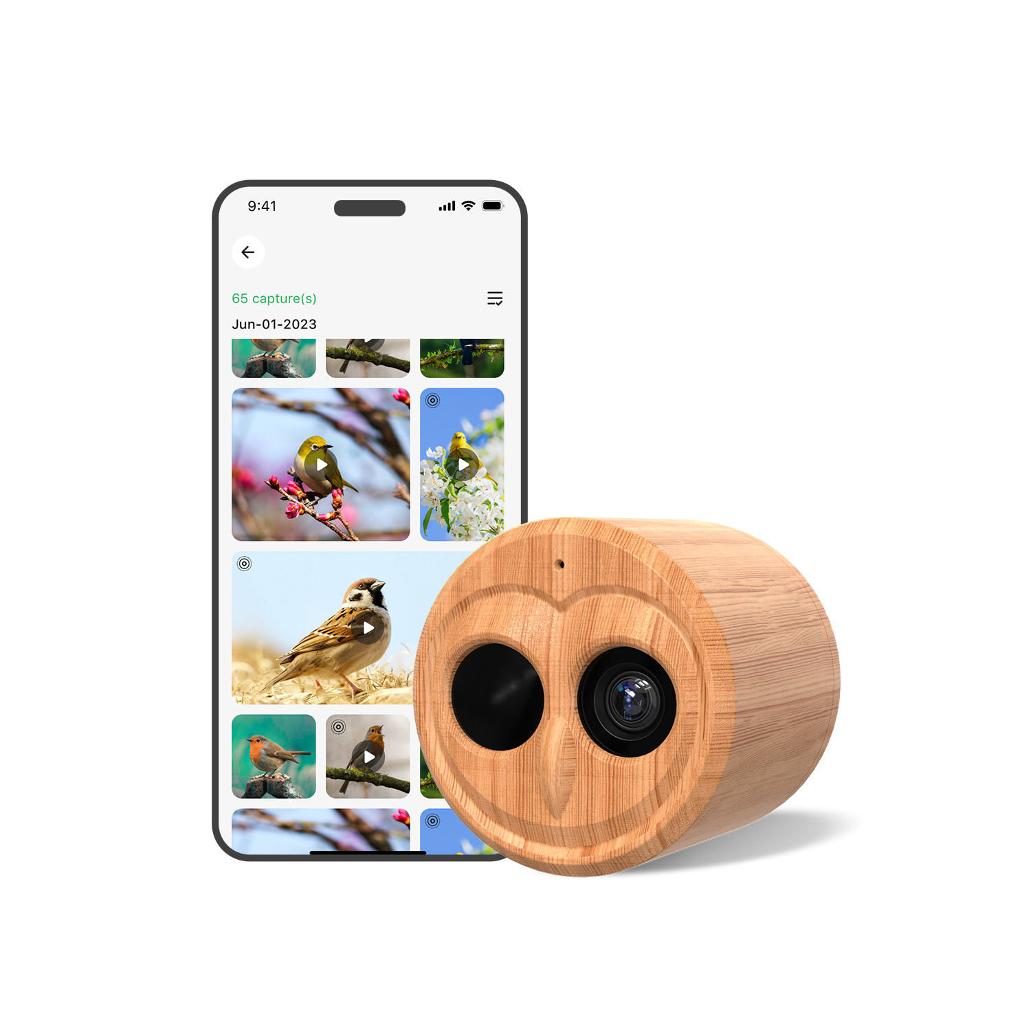 جهاز تغذية الطيور الذكي بدقة 4 - مراجعة Smart Bird Feeder Camera وسعره