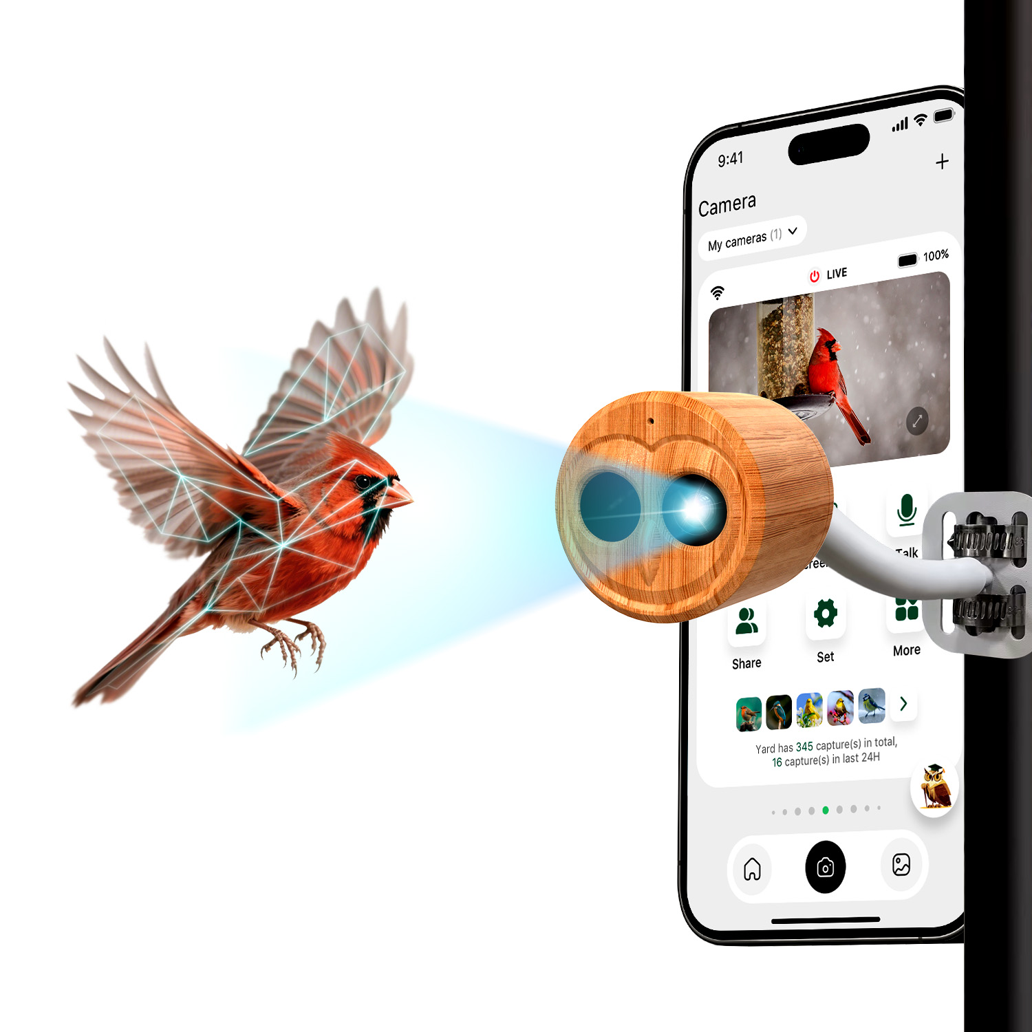 جهاز تغذية الطيور الذكي بدقة 4 - مراجعة Smart Bird Feeder Camera وسعره