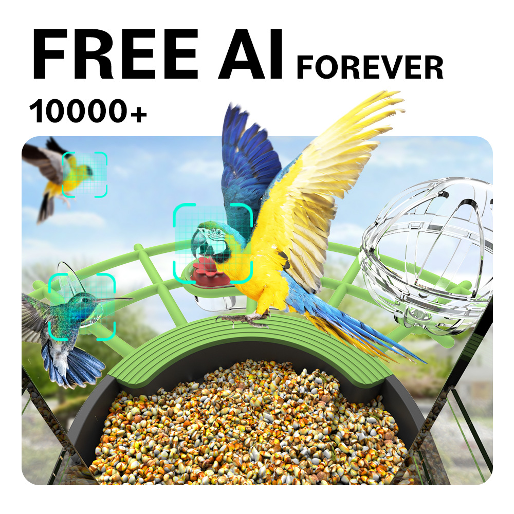 مغذي الطيور البرية الذكي بتقني - مراجعة Smart Bird Feeder Camera وسعره