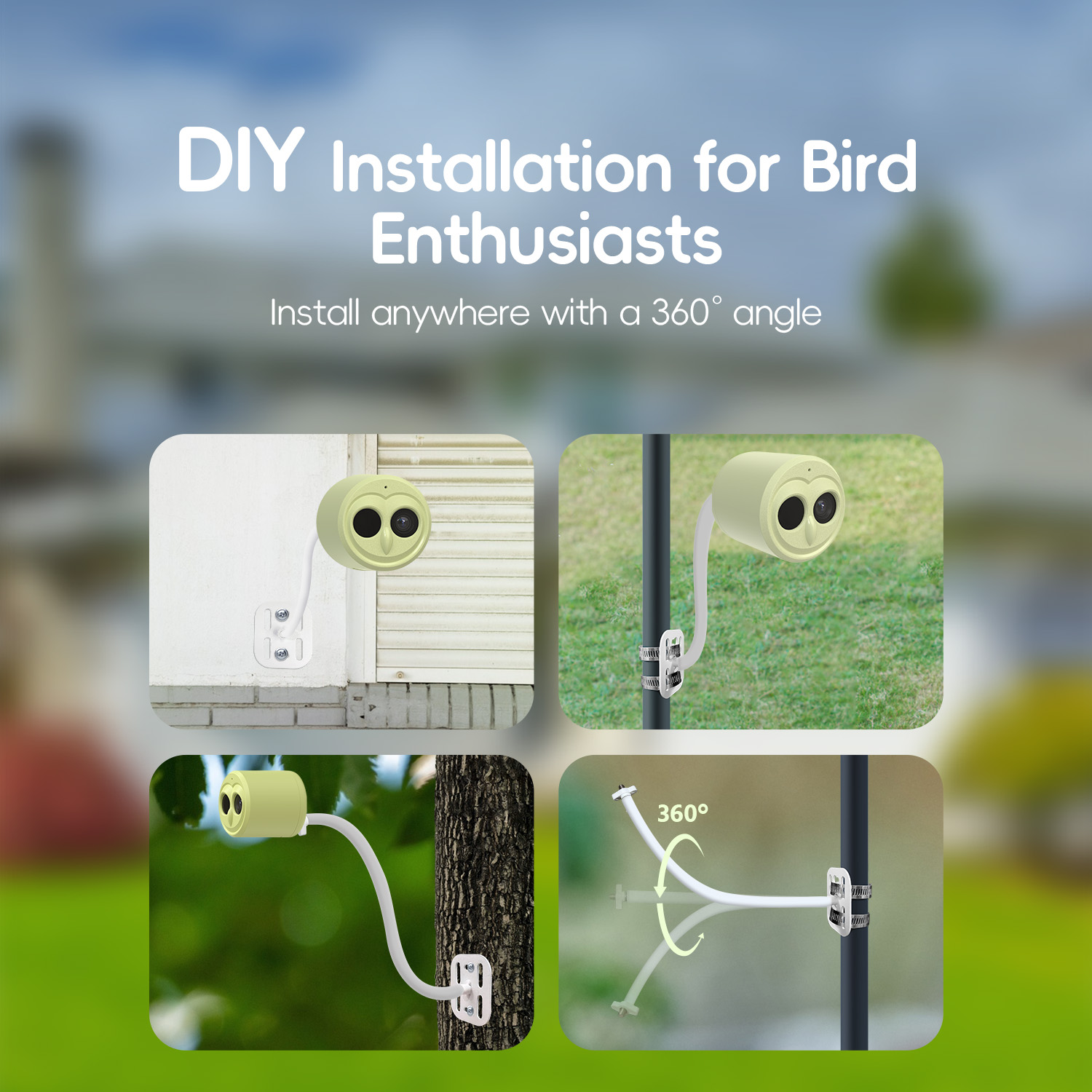 جهاز تغذية الطيور الآلي الذكي  - مراجعة Smart Bird Feeder Camera وسعره
