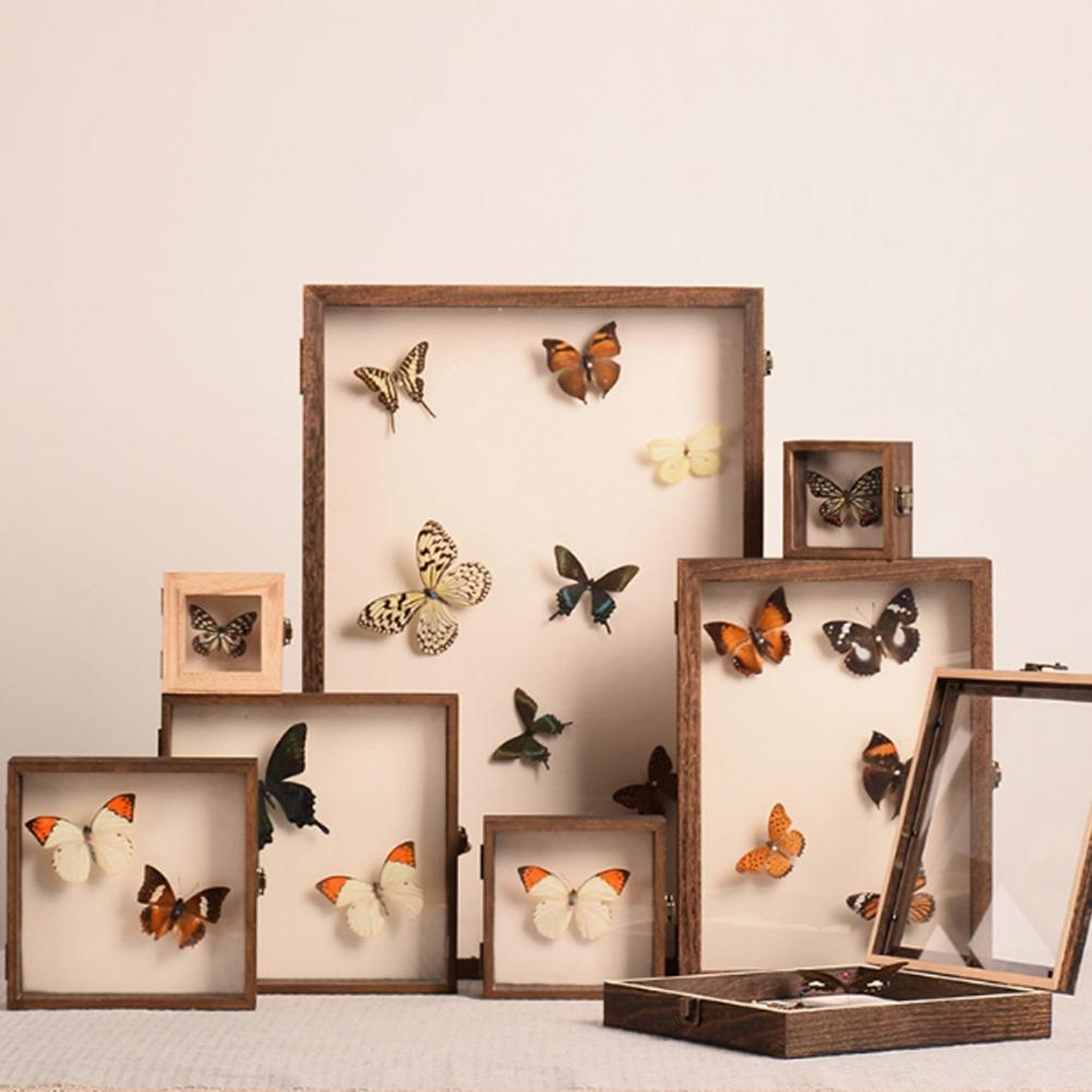 علبة عرض خشبية صندوق ظلال الفر - مراجعة Insect Hotel Wood وسعره