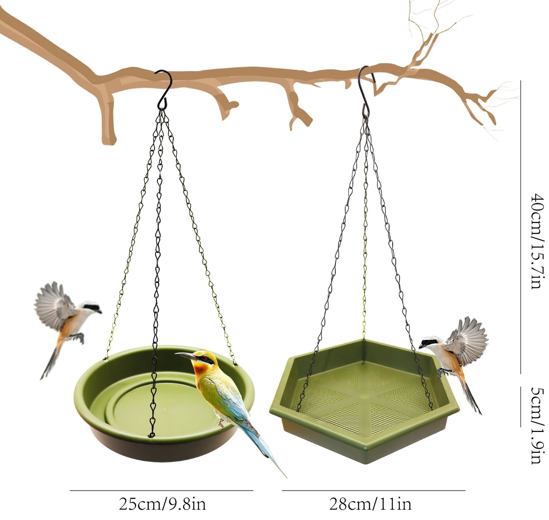 مغذي طيور برية معلق وموزع مياه - مراجعة Smart Bird Feeder Camera وسعره