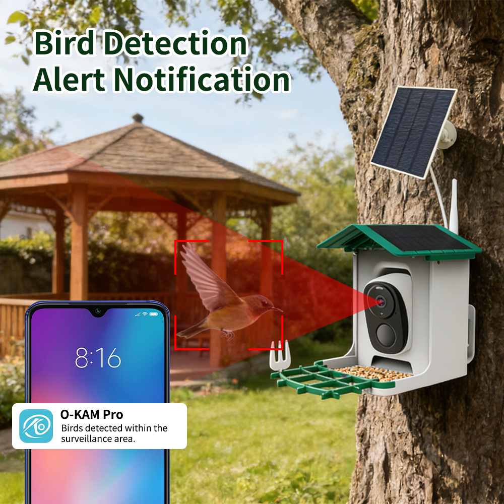 مغذي طيور ذكي، كاميرا واي فاي  - مراجعة Smart Bird Feeder Camera وسعره