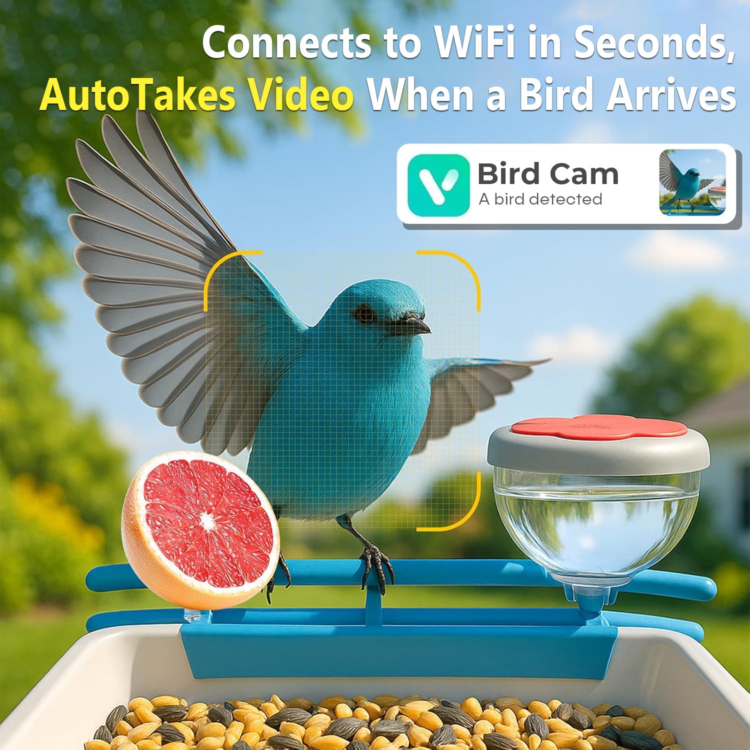 كاميرا ذكية لتغذية الطيور بدقة - مراجعة Smart Bird Feeder Camera وسعره