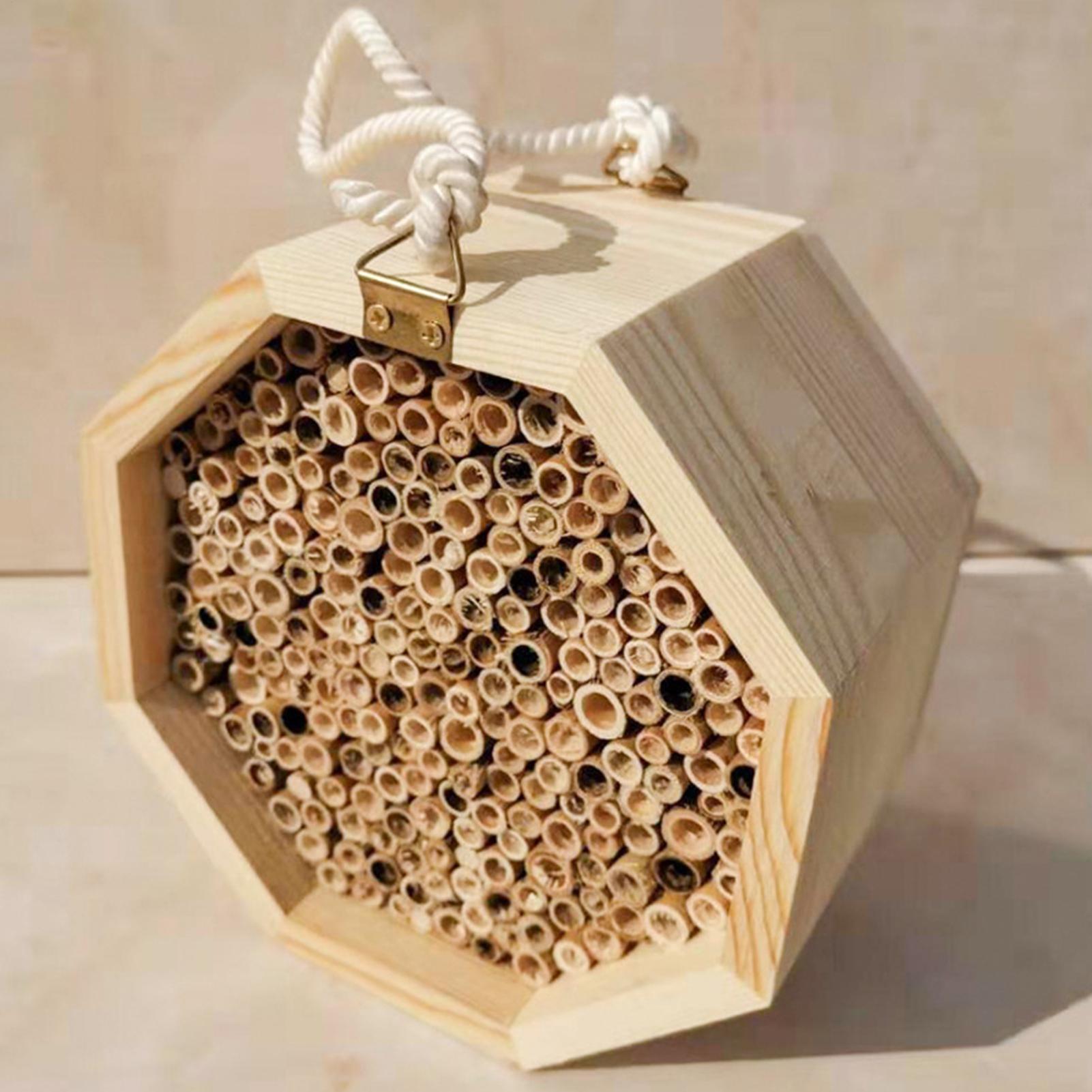بيت خشبي للحشرات والنحل، صندوق - مراجعة Insect Hotel Wood وسعره