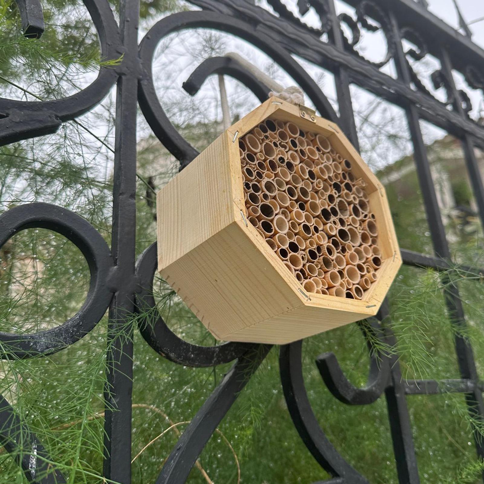 بيت خشبي للحشرات والنحل، صندوق - مراجعة Insect Hotel Wood وسعره