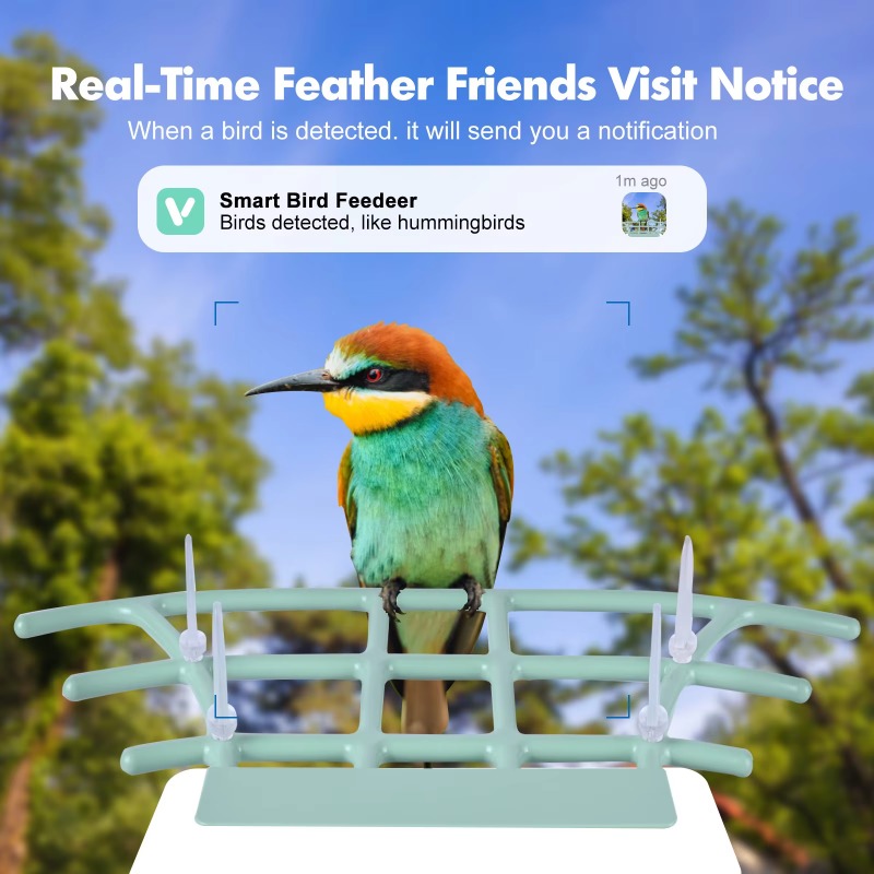 كاميرا ذكية لتغذية الطيور للرؤ - مراجعة Smart Bird Feeder Camera وسعره