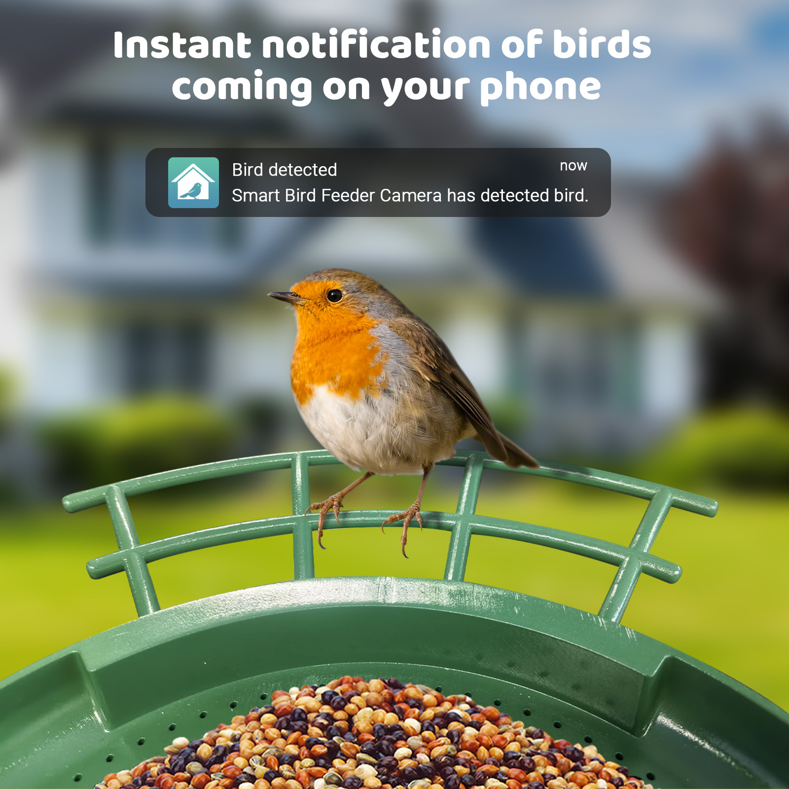 جهاز تغذية الطيور الذكي بكامير - مراجعة Smart Bird Feeder Camera وسعره