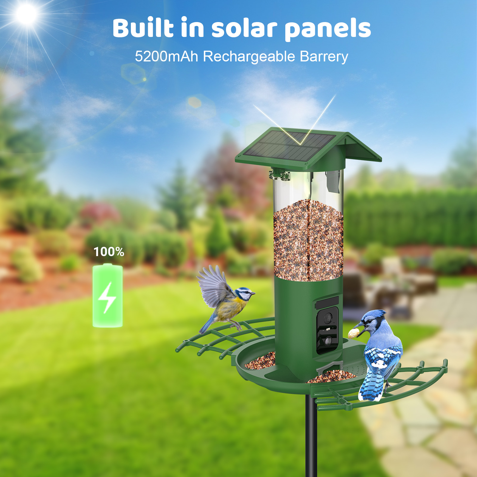 جهاز تغذية الطيور الذكي بكامير - مراجعة Smart Bird Feeder Camera وسعره