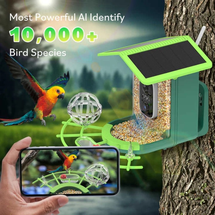 كاميرا ذكية لتغذية الطيور بدقة - مراجعة Smart Bird Feeder Camera وسعره