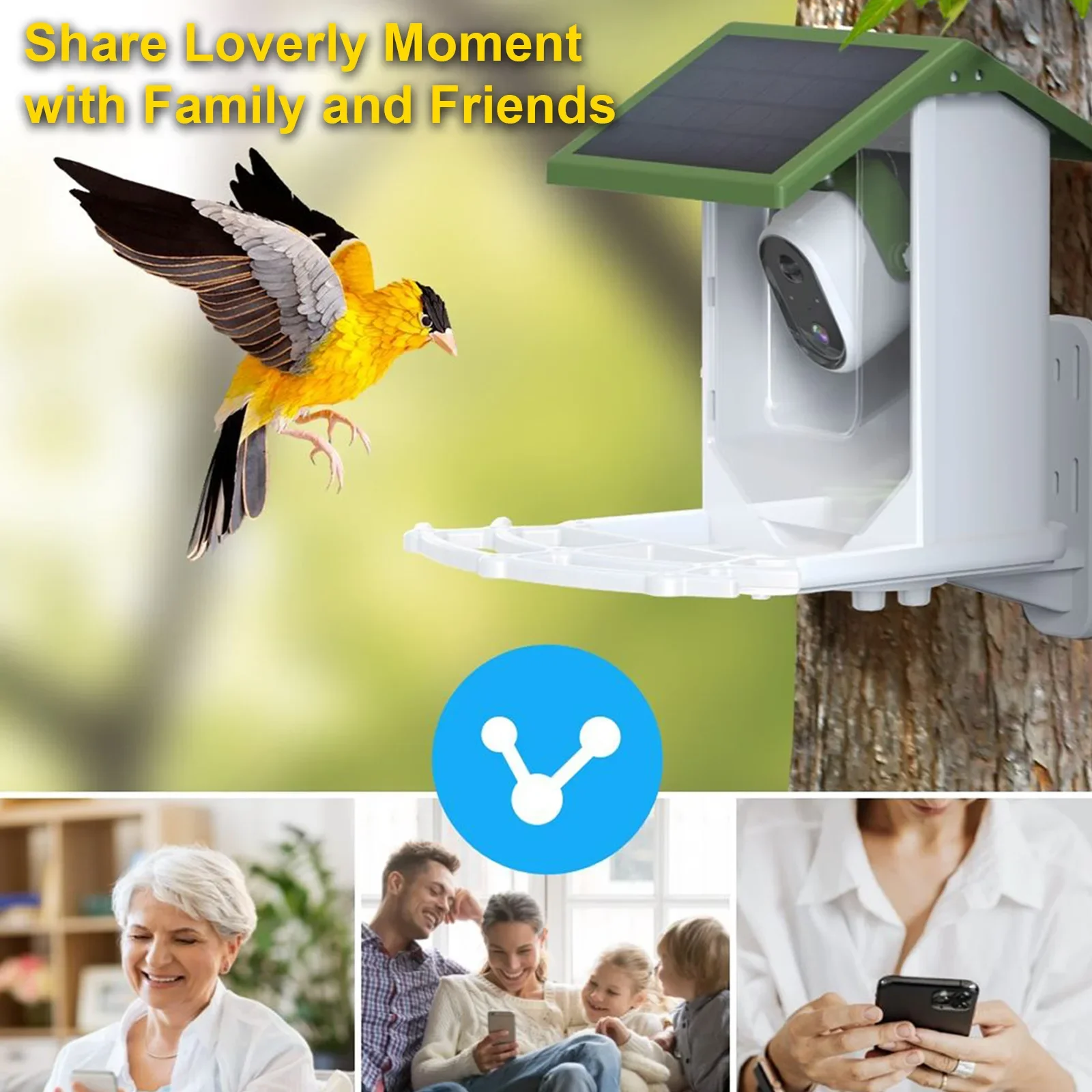 مغذي الطيور البري الأكثر مبيعً - مراجعة Smart Bird Feeder Camera وسعره