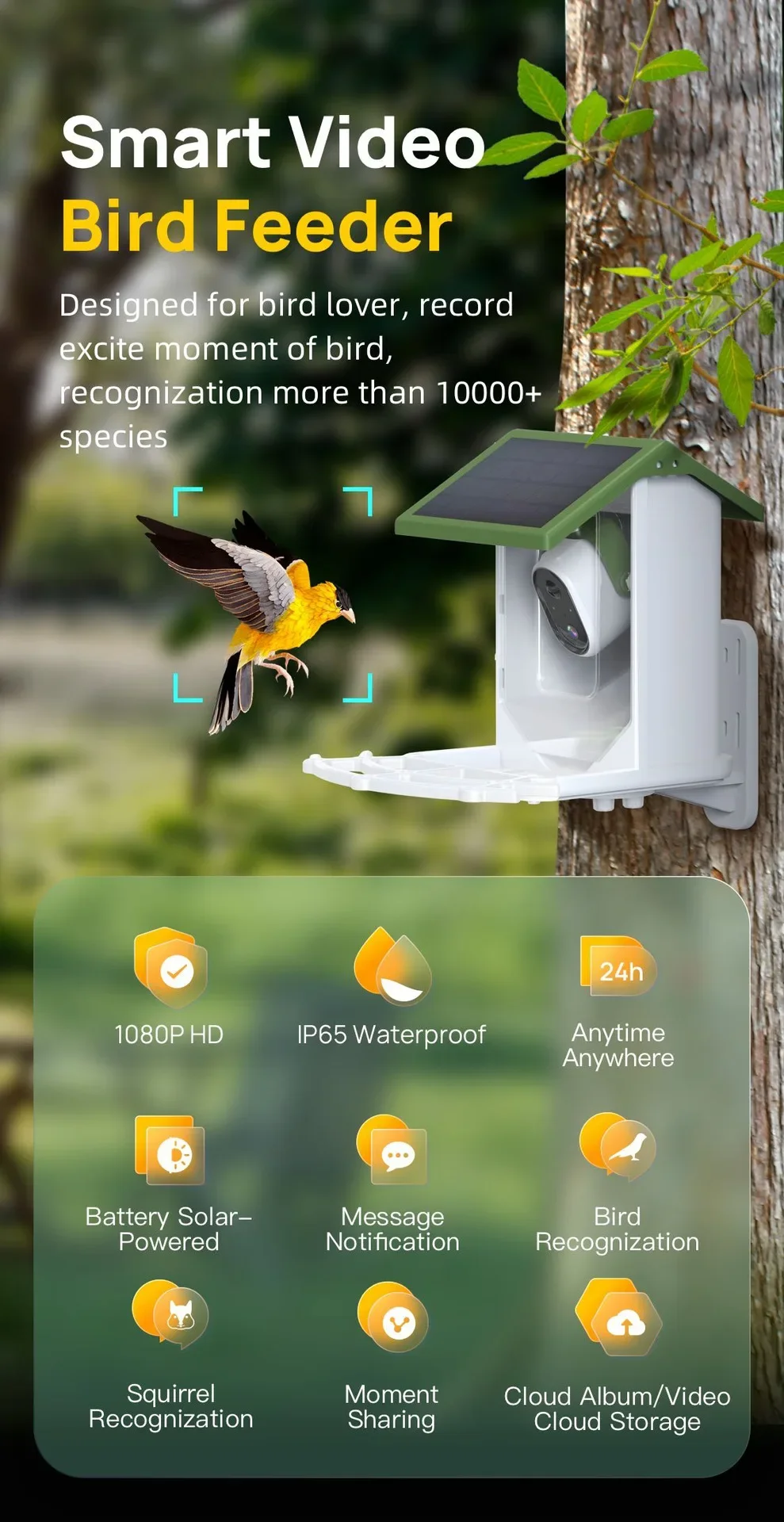 مغذي الطيور البري الأكثر مبيعً - مراجعة Smart Bird Feeder Camera وسعره